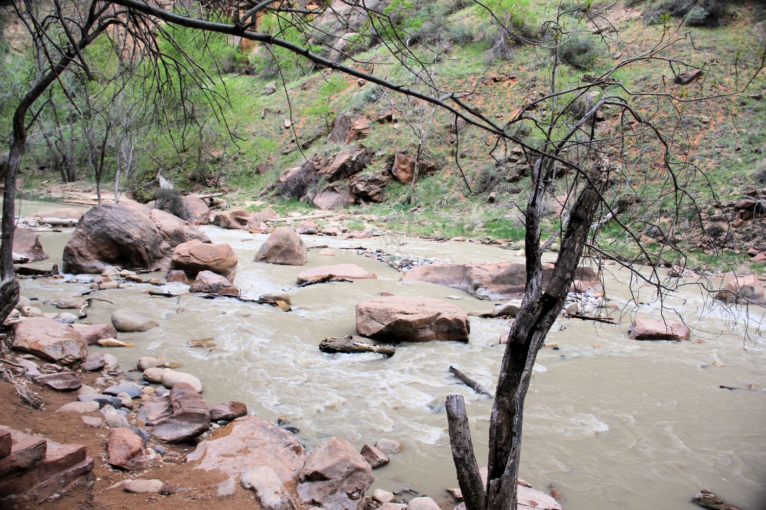 Riverside Walk Trail 